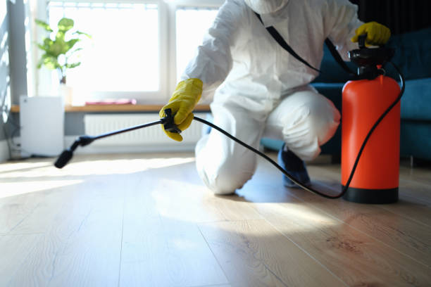 Reliable Hoarding Cleanup contractor in Seabrook, MD by Crime Scene Cleaner Online